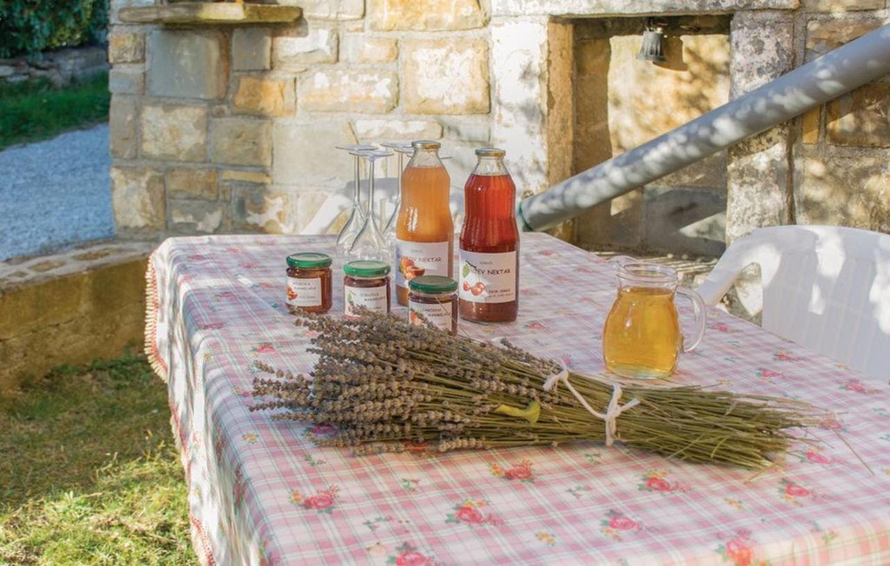 Apartment Between The Vineyard Ankaran Εξωτερικό φωτογραφία